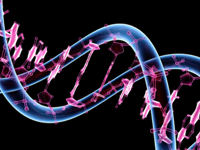 SEXUALITY: Η γενετική στο πλευρό των γονέων