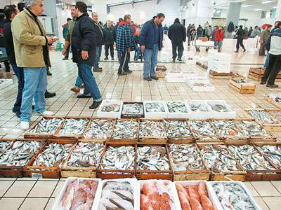 Πάτρα: Κατασχέθηκαν 78 κιλά ψάρια στην Ιχθυόσκαλα