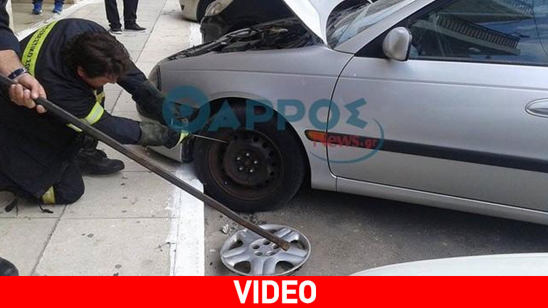 Οχιά αναστάτωσε το κέντρο της Καλαμάτας