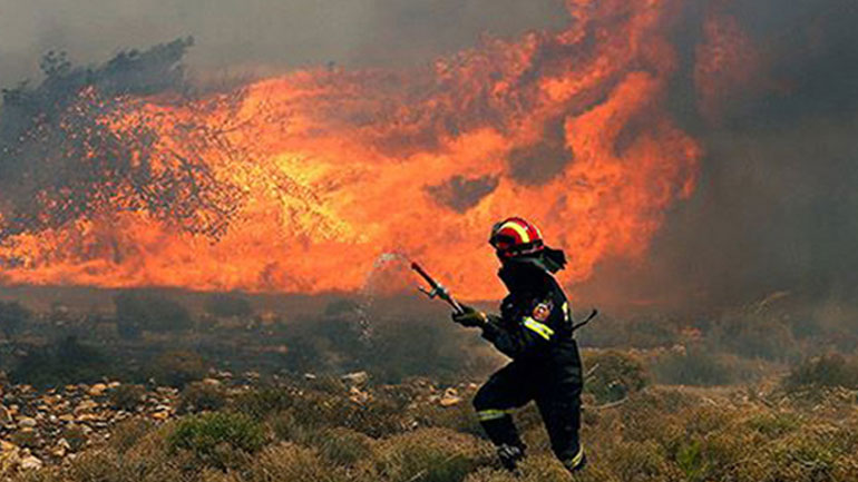 Κάηκε μεγάλη δασική έκταση στην Καλαμπάκα