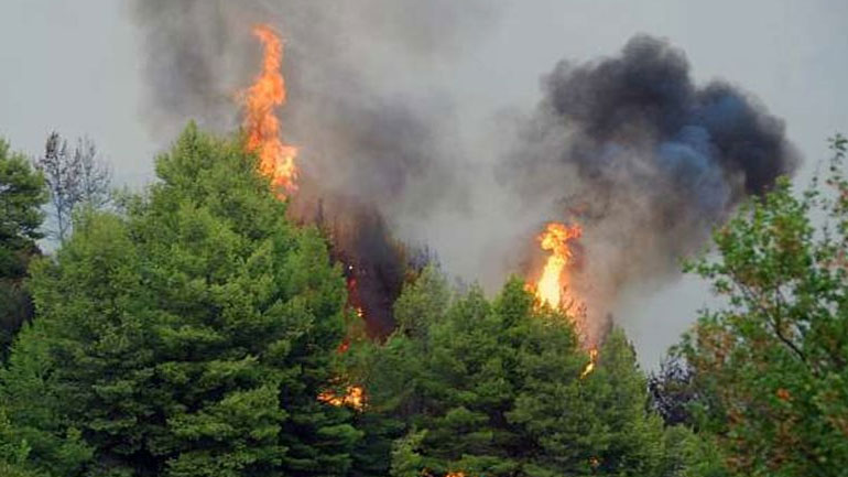 Κέρκυρα: Υπό μερικό έλεγχο βρίσκεται η πυρκαγιά που ξέσπασε στην Μυρτιώτισσα