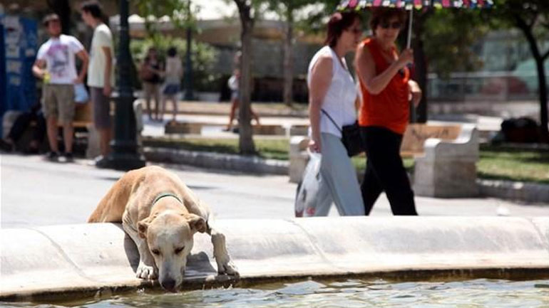 Οι κλιματιζόμενες αίθουσες του δήμου Αθηναίων