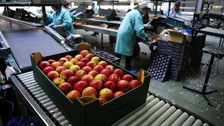 Θεσσαλονίκη: Κλιμάκιο αξιολόγησης των ελληνικών προϊόντων στέλνει η Μόσχα