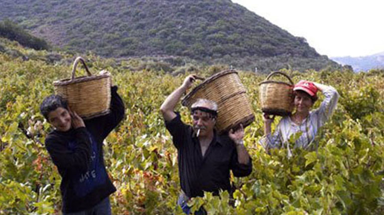 Γιατί οι Κρητικοί ζουν περισσότερο από τους υπόλοιπους Ευρωπαίους;