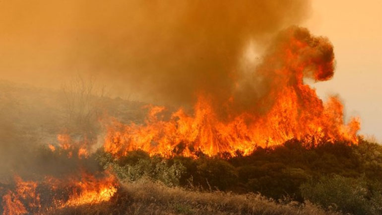 Λάρισα: Σε επιφυλακή η Πυροσβεστική – Έξι εστίες σε μια μέρα