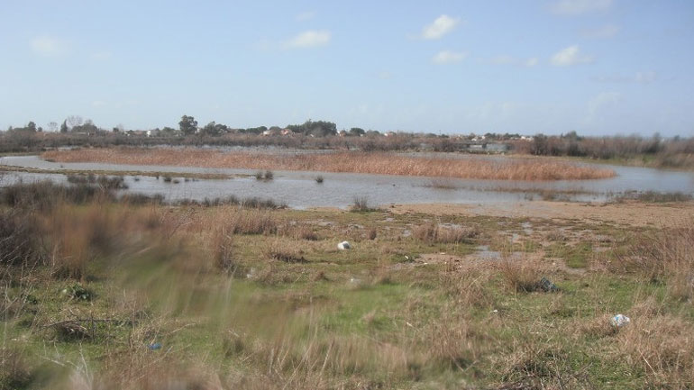 Επανασύσταση της Λίμνης Μουριάς : Από την ουτοπία σε μια επωφελή δράση