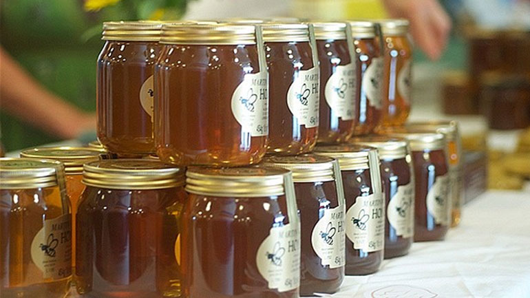 Κοζάνη: Έκλεψαν 1,5 τόνο μέλι