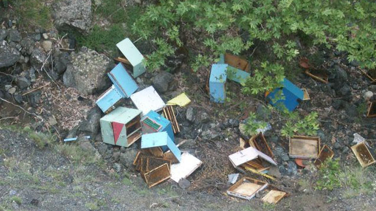Φωκίδα: Πέταξαν στον γκρεμό πάνω από εκατό μελίσσια