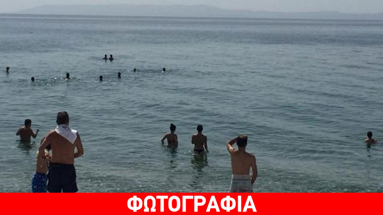 Απρόσμενος επισκέπτης σε παραλία της Μεσσηνίας