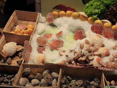 Ξάνθη: Μετέφεραν με το Ι.Χ. τους λαθραία όστρακα