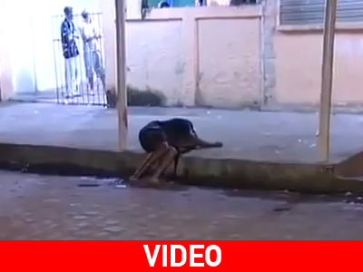 Τον πυροβόλησε μπροστά στην κάμερα