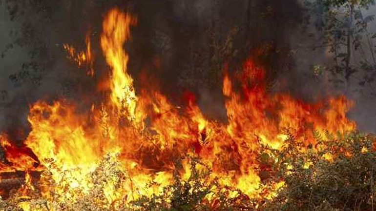 Φωτιά στον Κάτω Όλυμπο