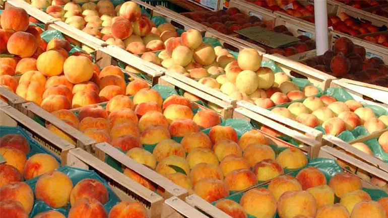 Θεσσαλονίκη: Δωρεάν διανομή ροδάκινων από το Δήμο Θέρμης