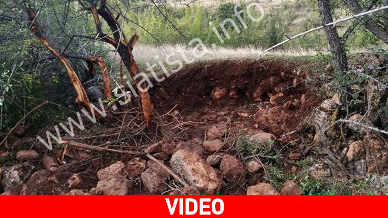 Σιάτιστα: Αρκούδα πιάστηκε σε παγίδα