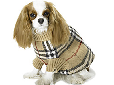 Δώστε στιλ στον σκύλο σας με Burberry!