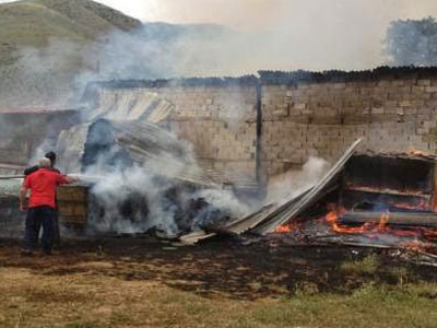 Τρίκαλα: Στάβλος έγινε στάχτη