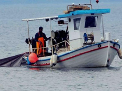 Τρώμε γαύρους και κολλιούς με ίνες πλαστικού Τρώμε γαύρους και κολλιούς με ίνες πλαστικού