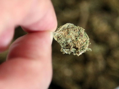 Ηλεία: Συνελήφθη ιερέας με χασίς