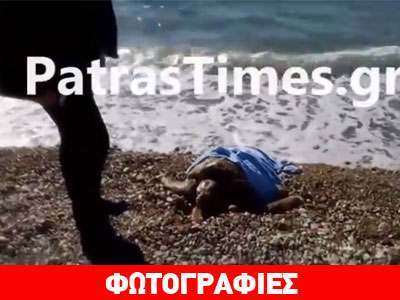Πάτρα: Τραυματισμένη θαλάσσια χελώνα στην ακτή