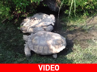 Η πιο αργή αλλά και πετυχημένη επιχείρηση διάσωσης του κόσμου