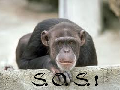 Προσοχή στις απομιμήσεις και τα προϊόντα μαϊμού