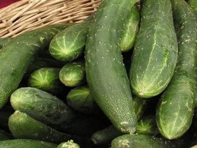 Αρνητικά στο E.coli τα δείγματα των ελληνικών προϊόντων