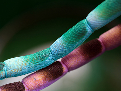 Γονιμότητα: H αλήθεια για τα βλαστοκύτταρα