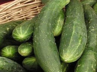 Καθησυχαστικοί για το E.coli