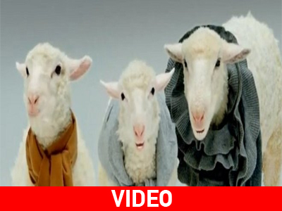 Η ωραιότερη χριστουγεννιάτικη διαφήμιση! Η ωραιότερη χριστουγεννιάτικη διαφήμιση!