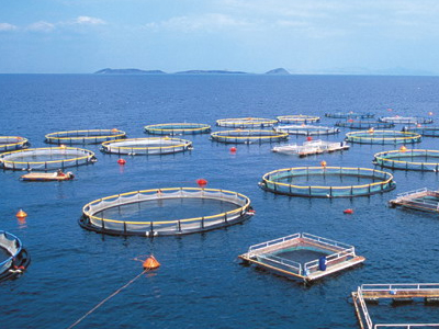 «Άμεσα υπεύθυνος ο Γερουλάνος για τις ιχθυοκαλλιέργεις»