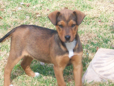 Η Λίντα ζητεί οικογένεια