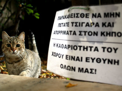 Η γάτα προειδοποιεί…