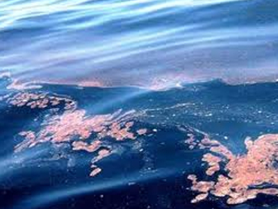 Θαλάσσια ρύπανση στο λιμάνι της Κεραμωτής