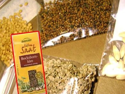 Ανάκληση σπόρων τριγωνέλλας