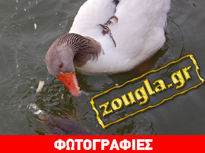 Παράνομη αλιεία στο Πάρκο Τρίτση