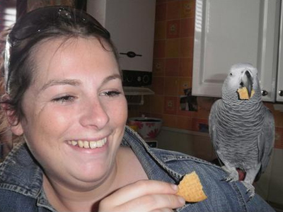 Παπαγάλος ο Μαρτυριάρης του γένους «Μπανιστίρι»