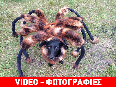 Μυστηριώδες πλάσμα σκορπά τον τρόμο…