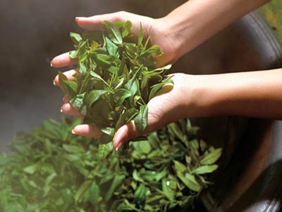 Πράσινο Τσάι: Επιδρά ευεργετικά στην υγεία της καρδιάς