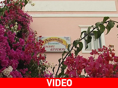 Rodanthos: Ανθίζει και στην Αίγινα