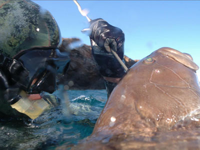 Σεμινάρια αναπνοών και χαλάρωσης