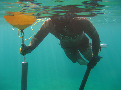 Ολοκληρώθηκε το σεμινάριο για ψάρεμα σε αντίξοες συνθήκες Ολοκληρώθηκε το σεμινάριο για ψάρεμα σε αντίξοες συνθήκες