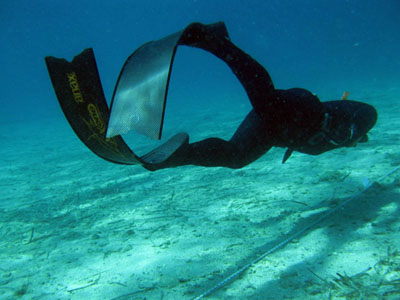 Ξεκινάει σχολείο ελεύθερης κατάδυσης Ξεκινάει σχολείο ελεύθερης κατάδυσης