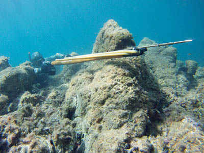 Τριήμερο σεμινάριο για κατάδυση με ψαροντούφεκο