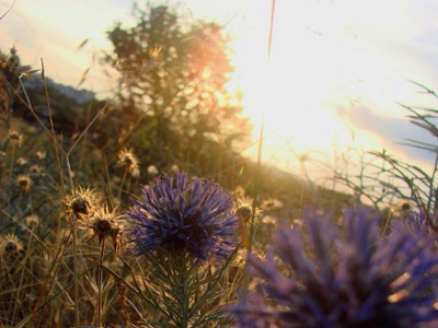 Γύρισε Στη Φύση…Γύρισε Στη Φύση…