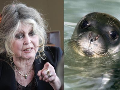 Μπέργκερ από φώκια με το όνομα της Μπε Μπε…