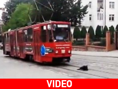 Μη μου τον ύπνο τάραττε! Μη μου τον ύπνο τάραττε!