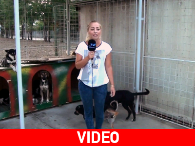 Αχ αυτές οι «ζωντανές» μεταδόσεις… Αχ αυτές οι «ζωντανές» μεταδόσεις…