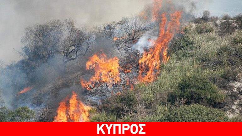 Κύπρος: Σε εξέλιξη μεγάλη πυρκαγιά στην περιοχή Γεράσας και Παραμύθας