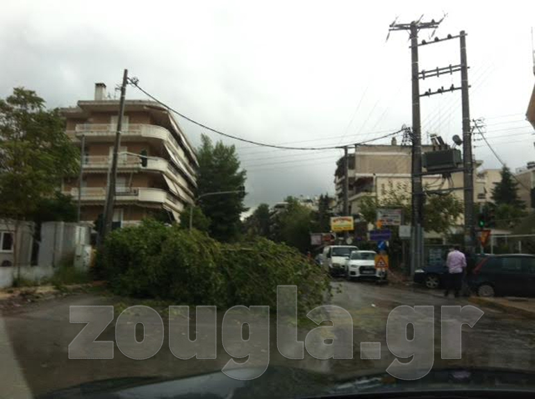 Πτώση δέντρου στην περιοχή του Αμαρουσίου 