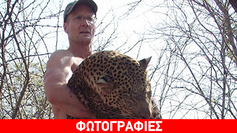 Οδοντίατρος από τη Μινεσότα σκότωσε και έγδαρε το εμβληματικό λιοντάρι της Ζιμπάμπουε Οδοντίατρος από τη Μινεσότα σκότωσε και έγδαρε το εμβληματικό λιοντάρι της Ζιμπάμπουε